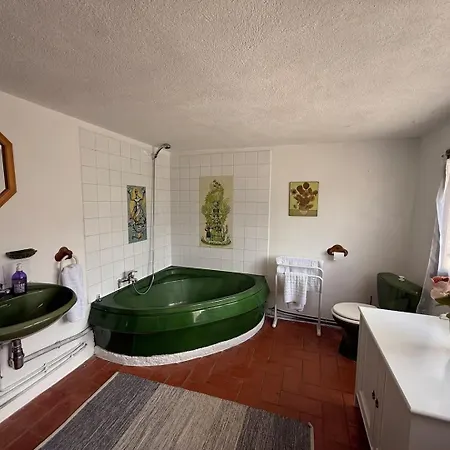 Wood - Beach- Skiing - Thermal Baths *