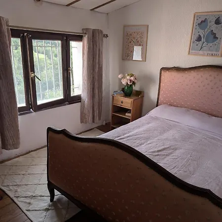 Wood - Beach- Skiing - Thermal Baths Casa vacanze Los Masos